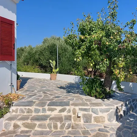 Stavros Oak Tree House Holiday home Vasilopoulon